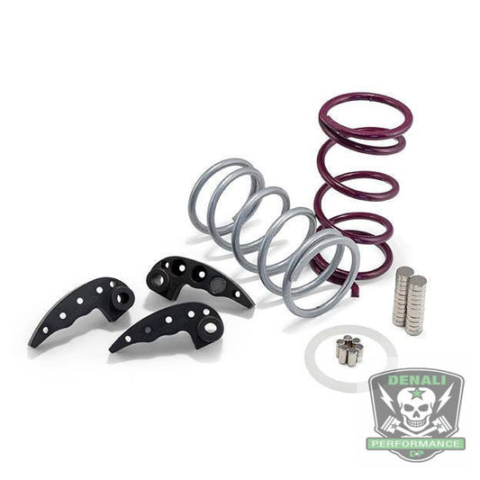 Polaris Ace/RS1 Clutch Kit
